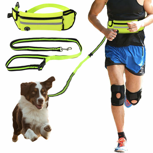 Reflective Waist Lead