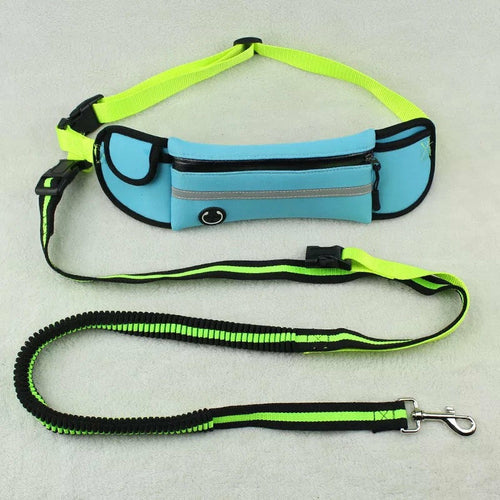 Reflective Waist Lead