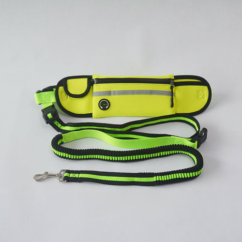 Reflective Waist Lead