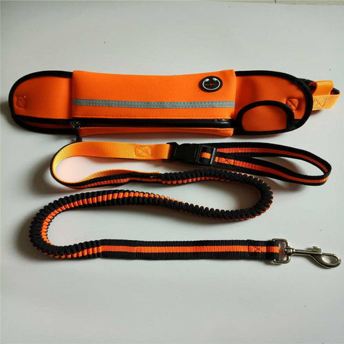 Reflective Waist Lead