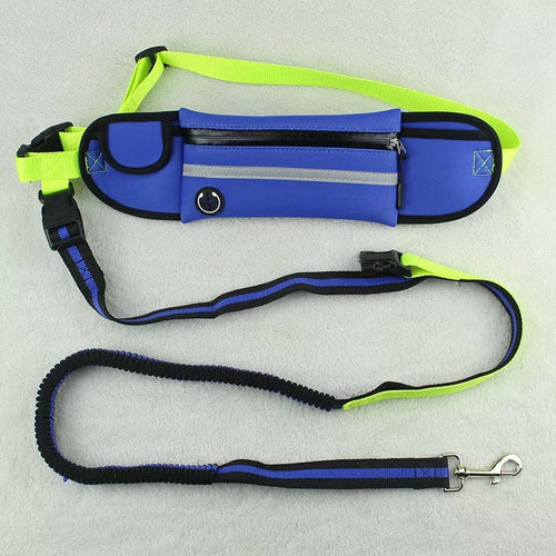 Reflective Waist Lead