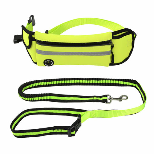 Reflective Waist Lead