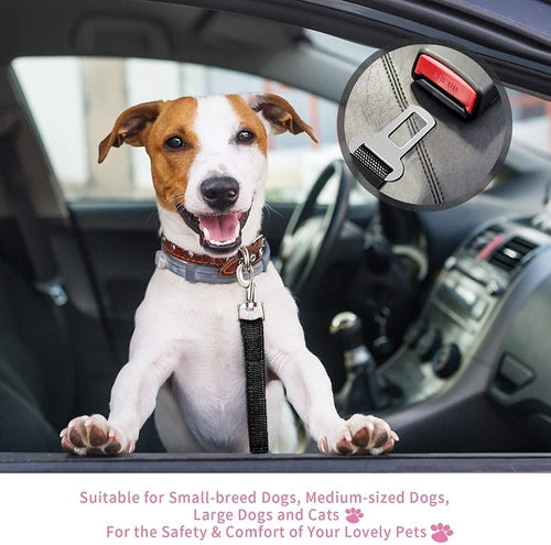 Pet Seatbelt 2 Pack