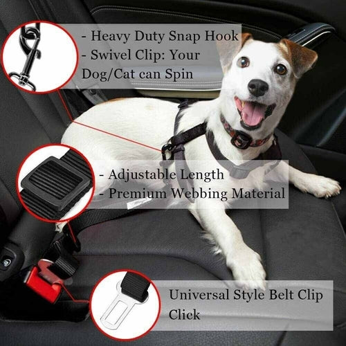 Pet Seatbelt 2 Pack