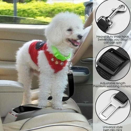 Pet Seatbelt 2 Pack