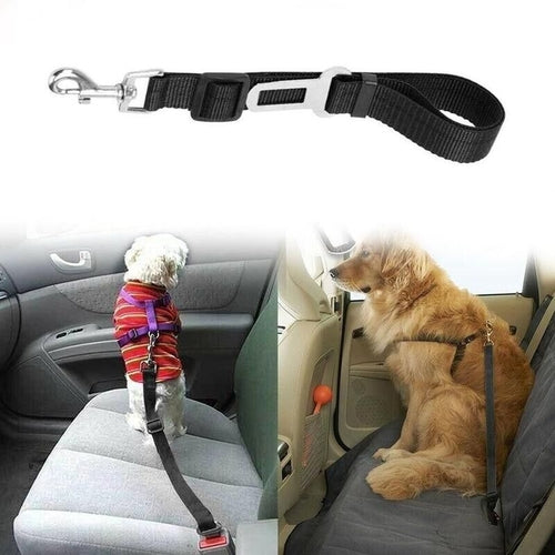 Pet Seatbelt 2 Pack