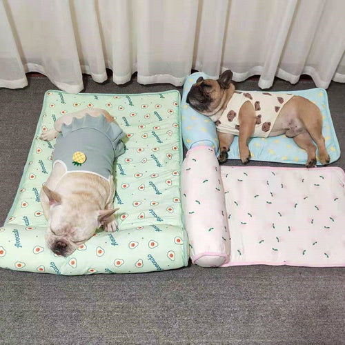 Cool Dog Pet Blanket