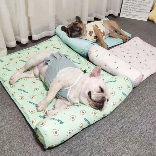 Cool Dog Pet Blanket