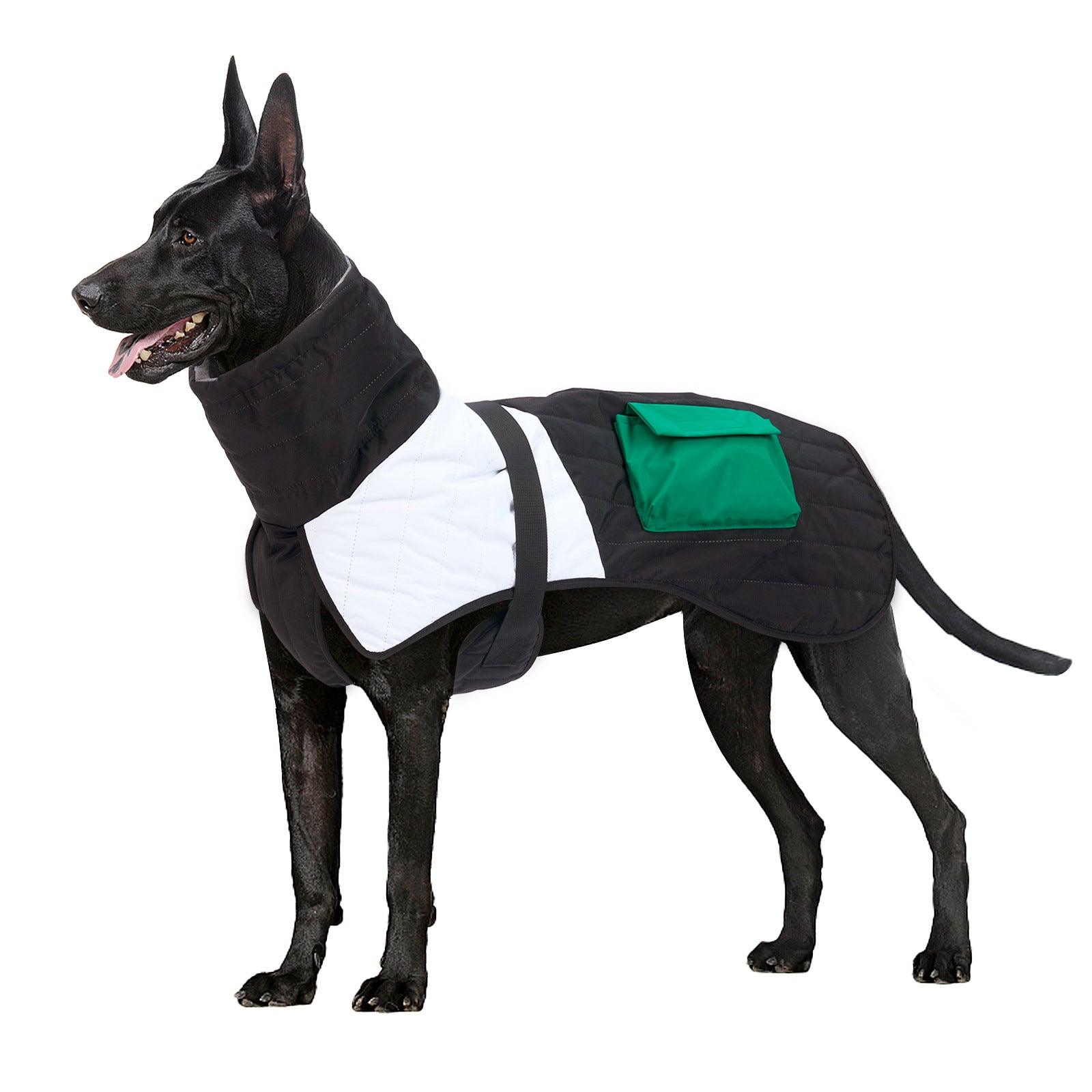Winter Wonderland Dog Padded Coat-2