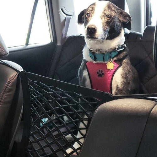 High Quality Premium Pet Car Net